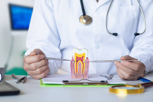 Best Holiday Emergency Dentist in Reiffton, PA